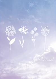 In a peaceful garden10.