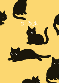 Round Black Cat3 on light yellow