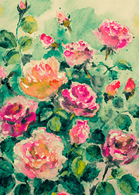 Beautiful rose flower(R4610)