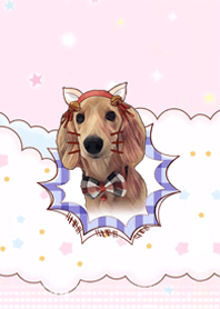 臘腸犬餅乾❤