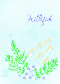 killifish...MEDAKA