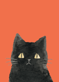 A unique cat05 red & yellow