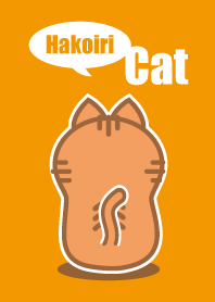 箱入り猫