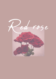 Vintage Red rose_2