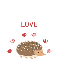 Hedgehog-love