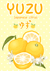 Yuzu japanese citrus