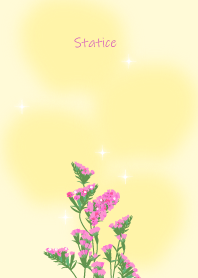 November's birth flower,Statice