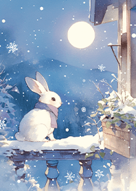 ⭐️冬日月光中的雪兔❤️