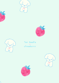 Toy poodle&strawberry