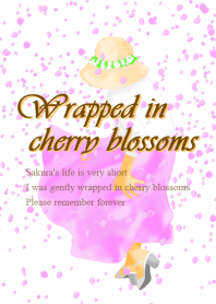 Wrapped in cherry blossoms ver4