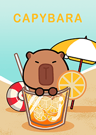misty cat-Capybara7