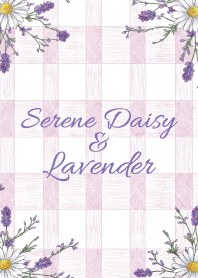 Serene Daisy & Lavender