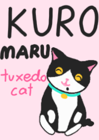 Kuromaru tuxedo cat