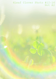 4leaf Clover Photo#12-16Not AI