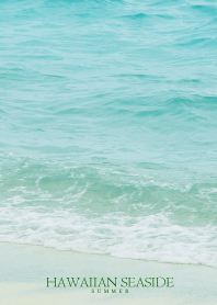 HAWAIIAN-SEASIDE SHELL- 24