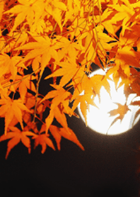 秋 着せかえ Autumn colors