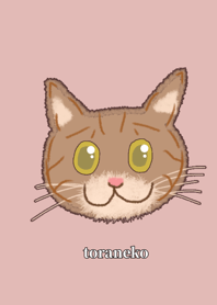 toraneko tiger cat