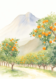 สวนส้ม  pj