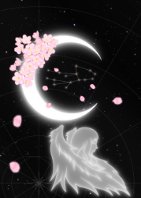 新月-处女座-