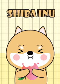 Minamal Shiba Inu Dog 2