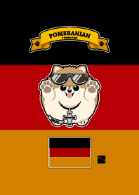 Pomeranian orange