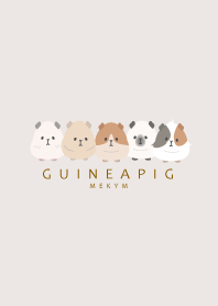 GUINEA PIG-PINK BEIGE 27