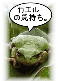 カエルの気持ち。(着せ替え)