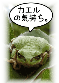 I am a frog.(Theme) for Japan