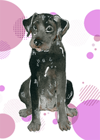 Labrador Black by Ystudio