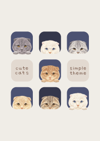 CATS - Scottish fold - NAVY