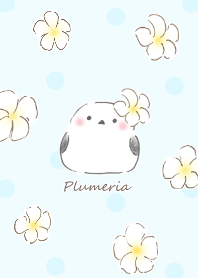 Shimaenaga&Plumeria:blue dot