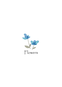 Blue flowers for adult girls.