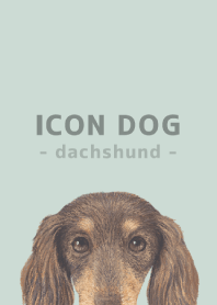 ICON DOG - dachshund - PASTEL GR/10