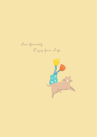 for CAT use