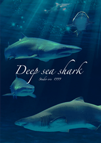 サメ 深海 Deep sea shark2