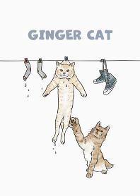 gingercat3 / white