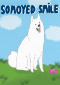 Samoyed Smile