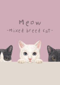 Meow-Mixed breed cat 02-DUSTY ROSE PINK