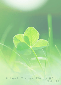 4leaf Clover Photo#7-30Not AI