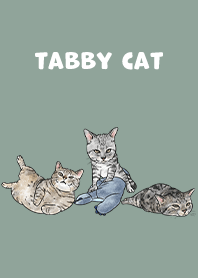 tabbycat5 / dusty green