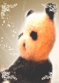 Fee  Beautiful Panda