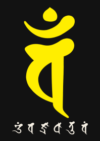 BONJI zodiac [vaM] BLACK YELLOW (0374