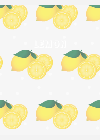 LEMON slices2 on white