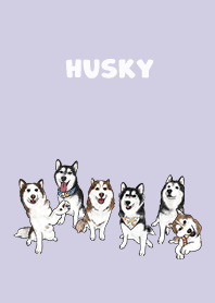 husky1 - purple