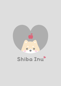 Shiba Inu2 Apple - gray