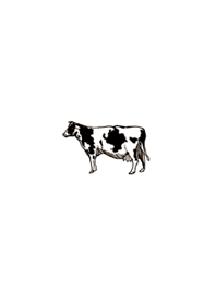 Minimalist cow-White