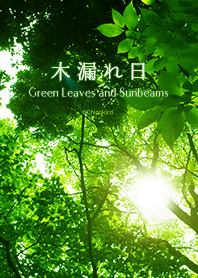 綠葉和太陽光線 .