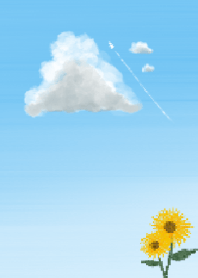 Summer sky and sunflower field