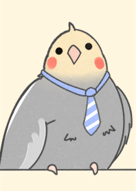 上班族玄鳳鸚鵡