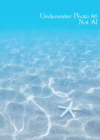 Underwater Photo86 Not AI